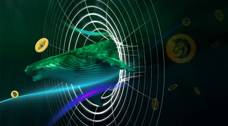 تحلیل نهنگ‌ها