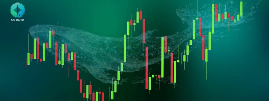 تحلیل نهنگ‌ها در ارز دیجیتال