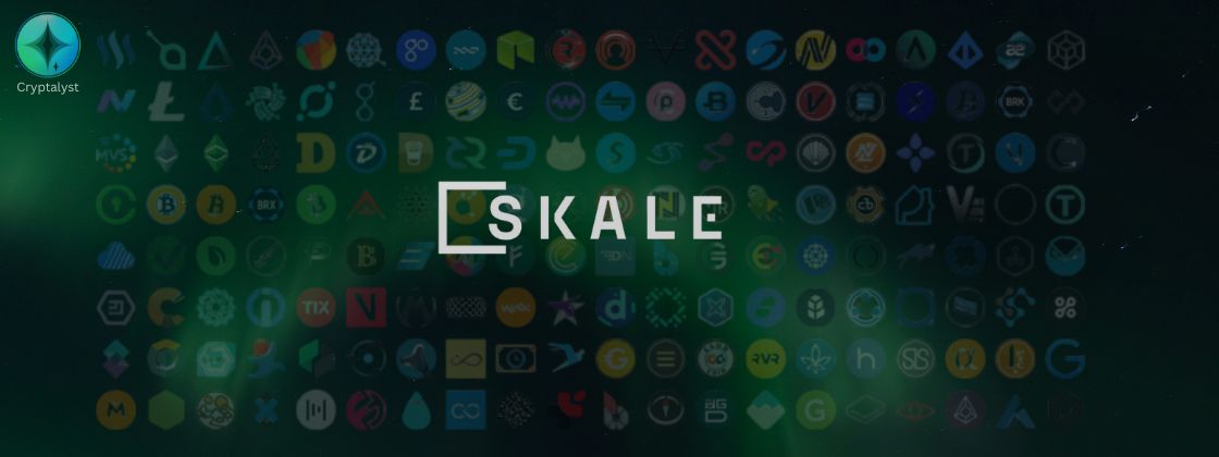 سیگنال سوشال Skale